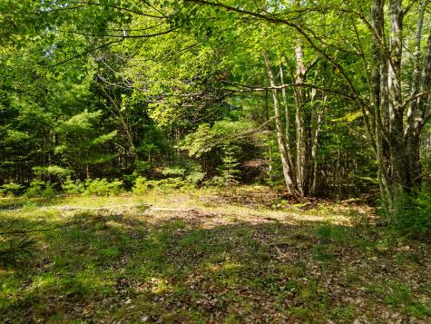 M31 L37 N Cobbtown Road Lincolnville ME 04849