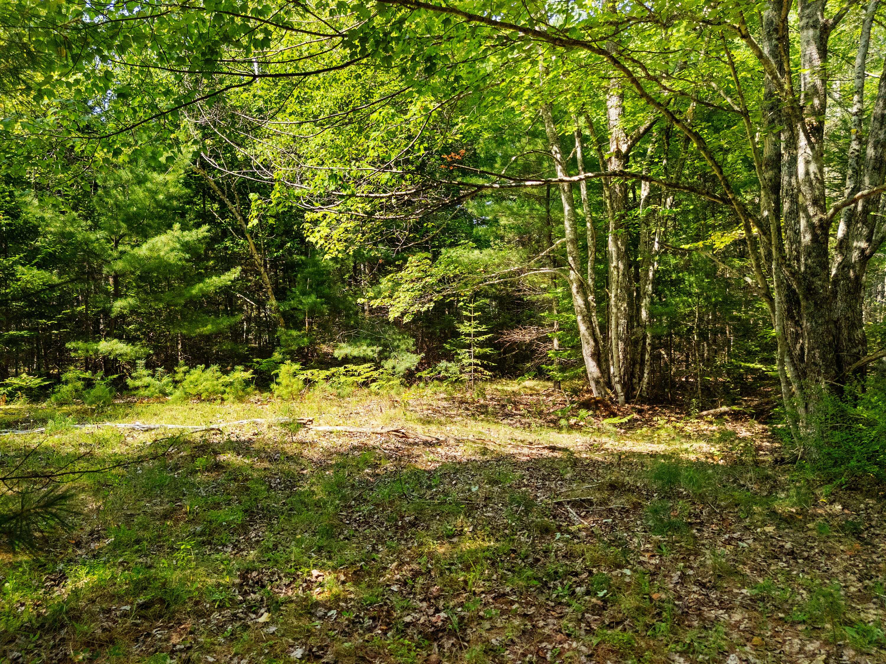 M31 L37 N Cobbtown Road Lincolnville ME 04849