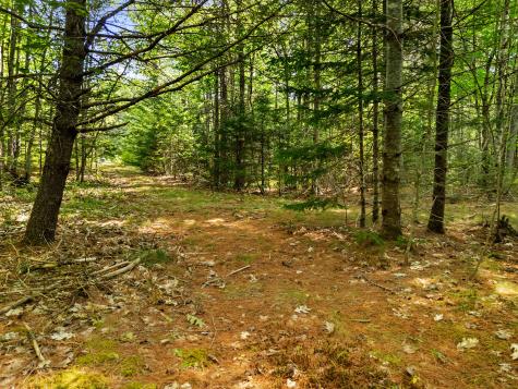 M31 L37 N Cobbtown Road Lincolnville ME 04849