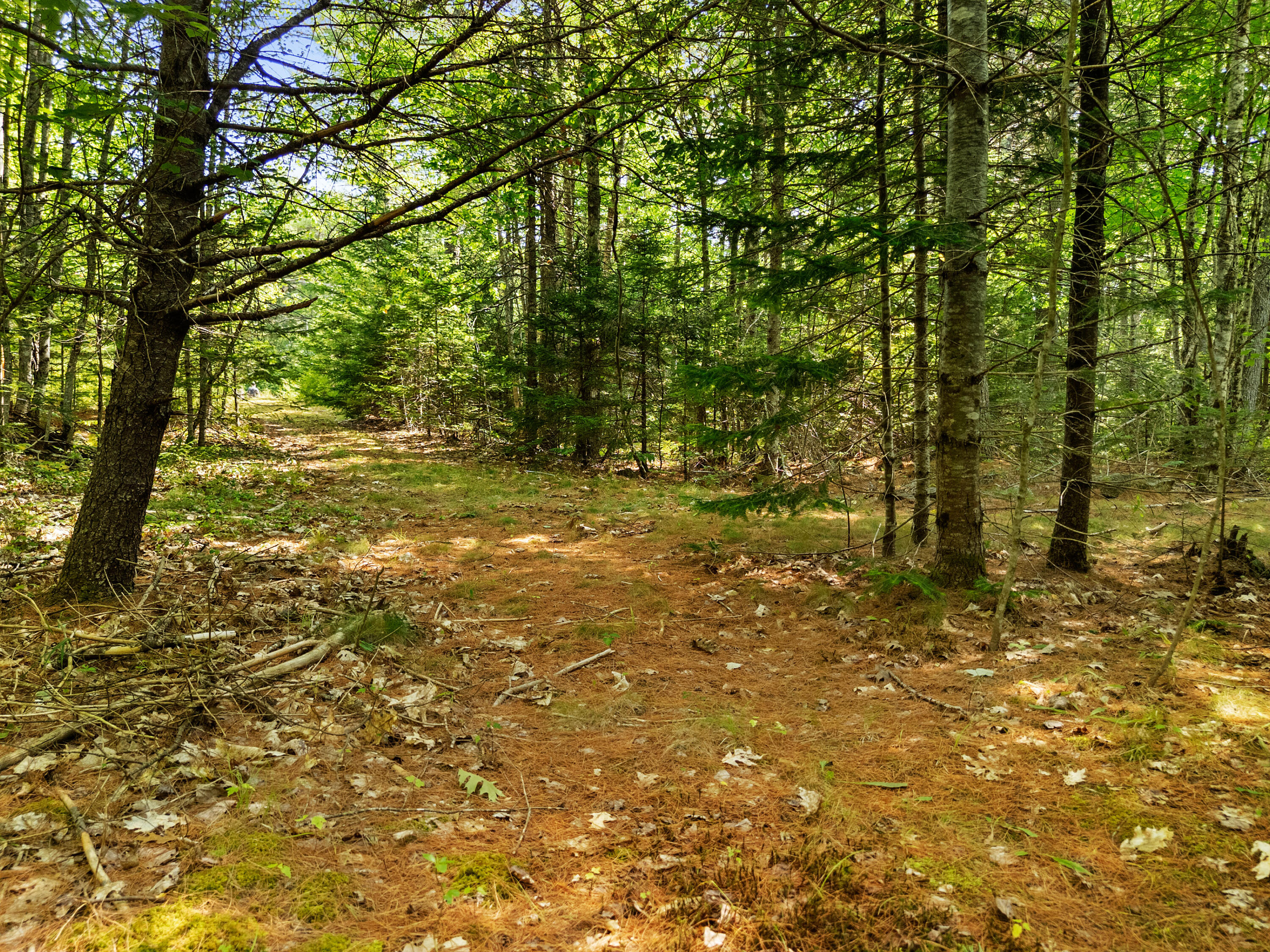 M31 L37 N Cobbtown Road Lincolnville ME 04849