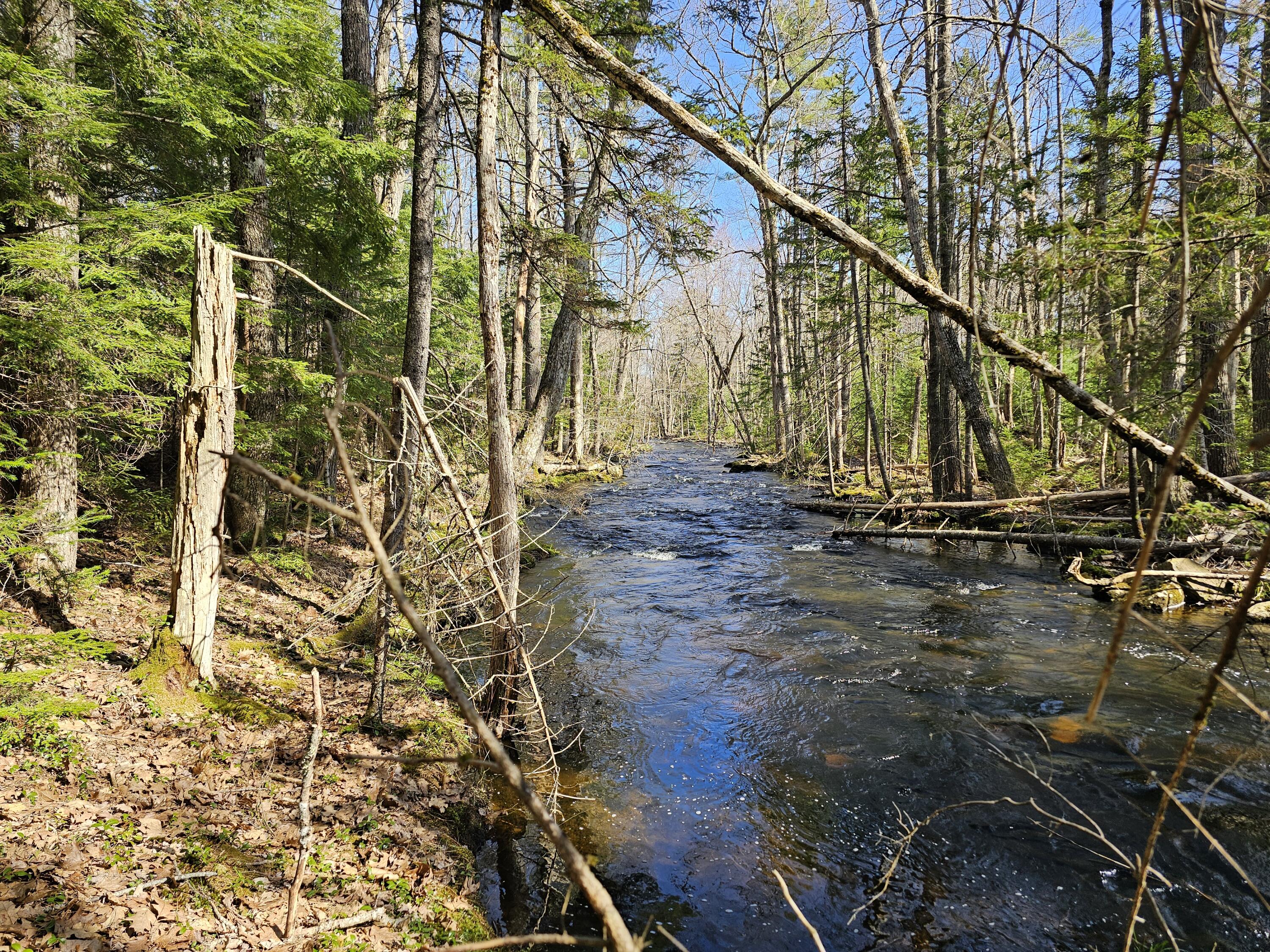 M31 L37 N Cobbtown Road Lincolnville ME 04849