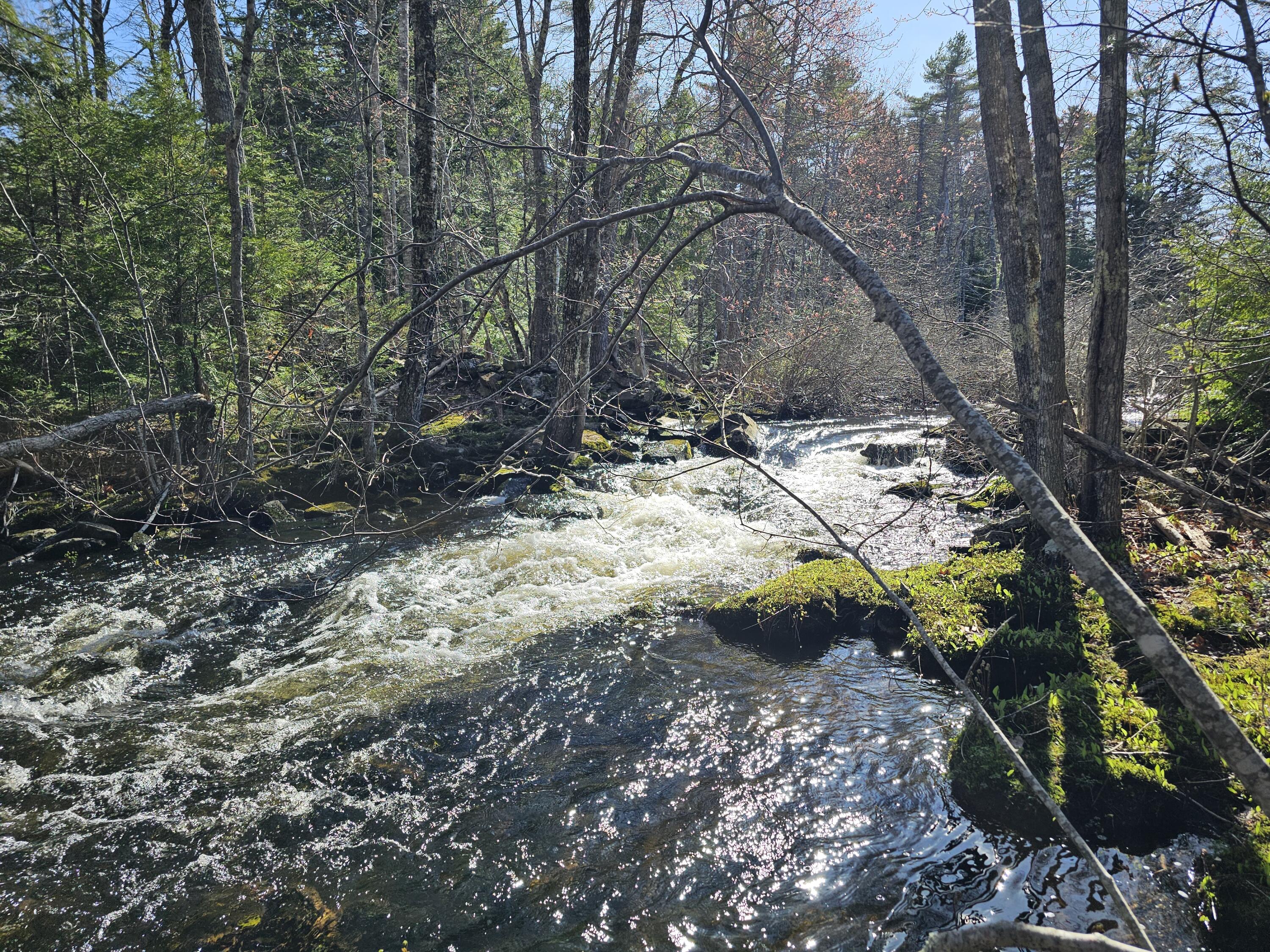 M31 L37 N Cobbtown Road Lincolnville ME 04849