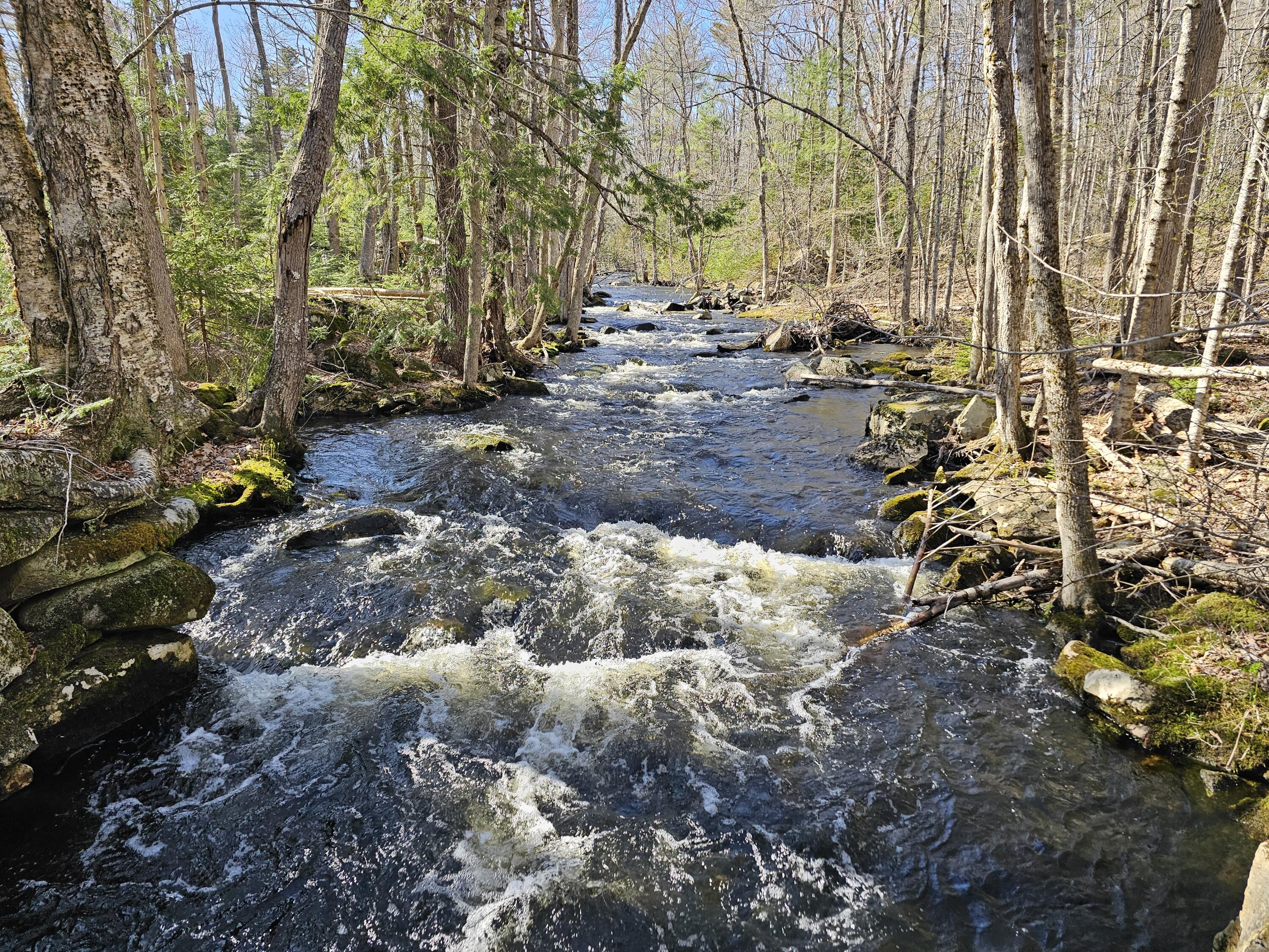 M31 L37 N Cobbtown Road Lincolnville ME 04849