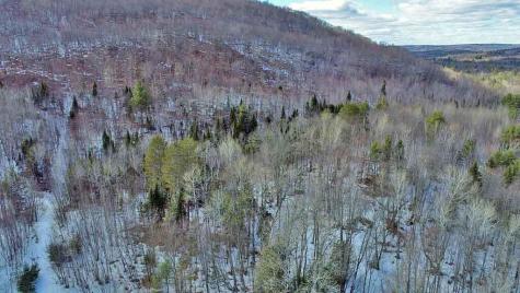 Lot 11 Drews Mill Road Linneus ME 04730