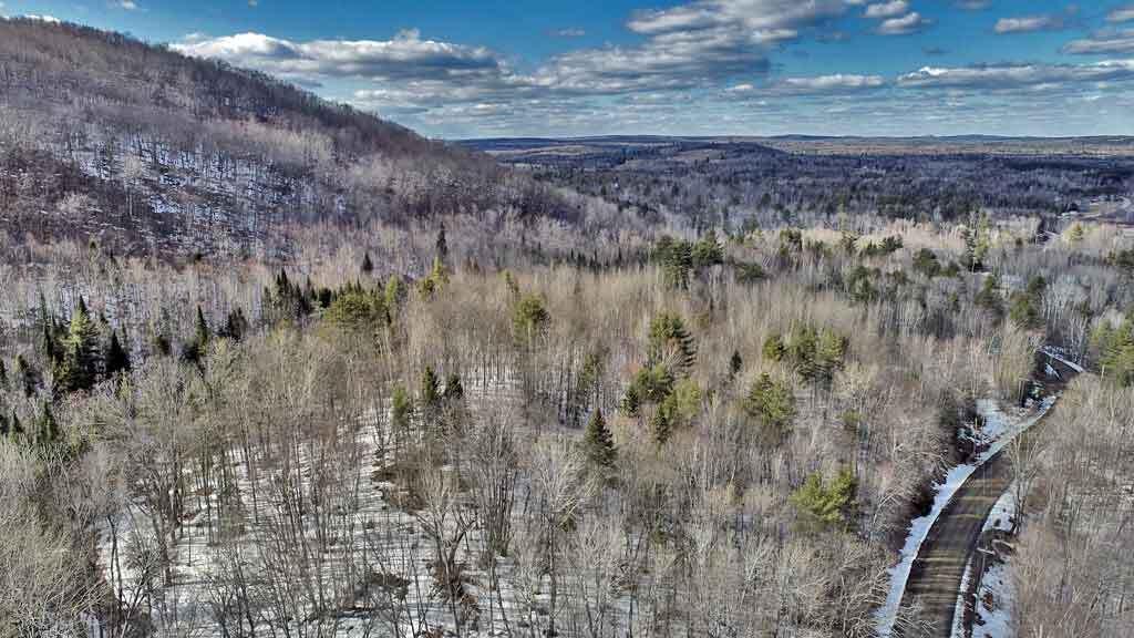 Lot 11 Drews Mill Road Linneus ME 04730