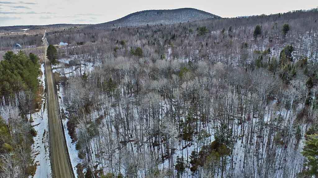 Lot 11 Drews Mill Road Linneus ME 04730