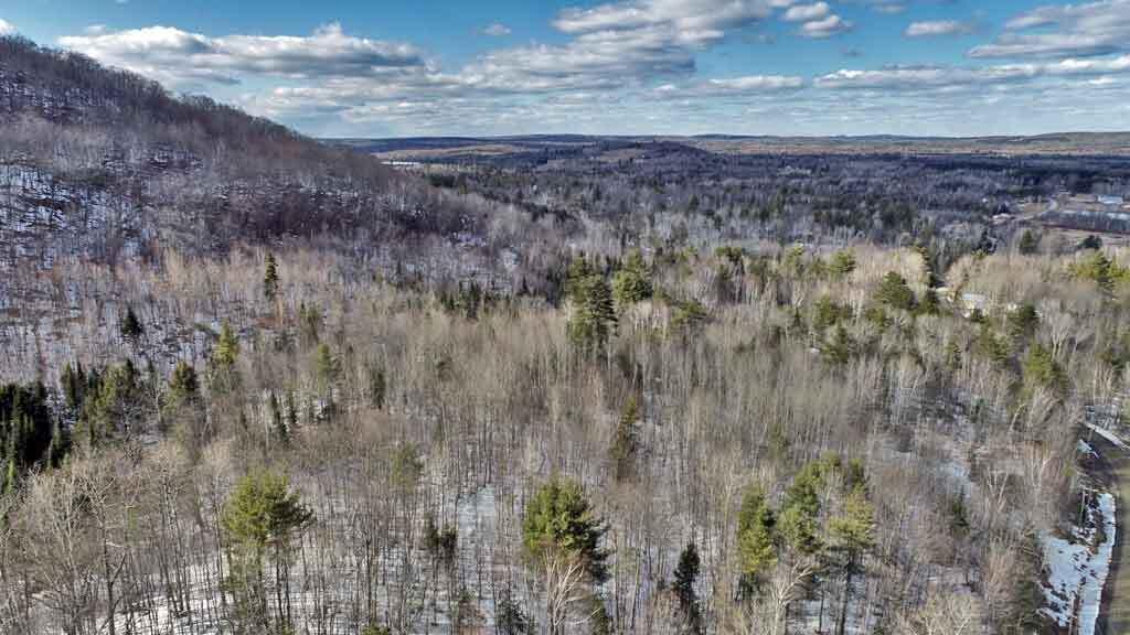 Lot 11 Drews Mill Road Linneus ME 04730