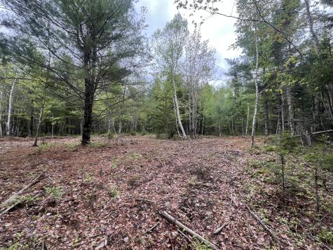 4 Taylor Woods Road Waltham ME 04605