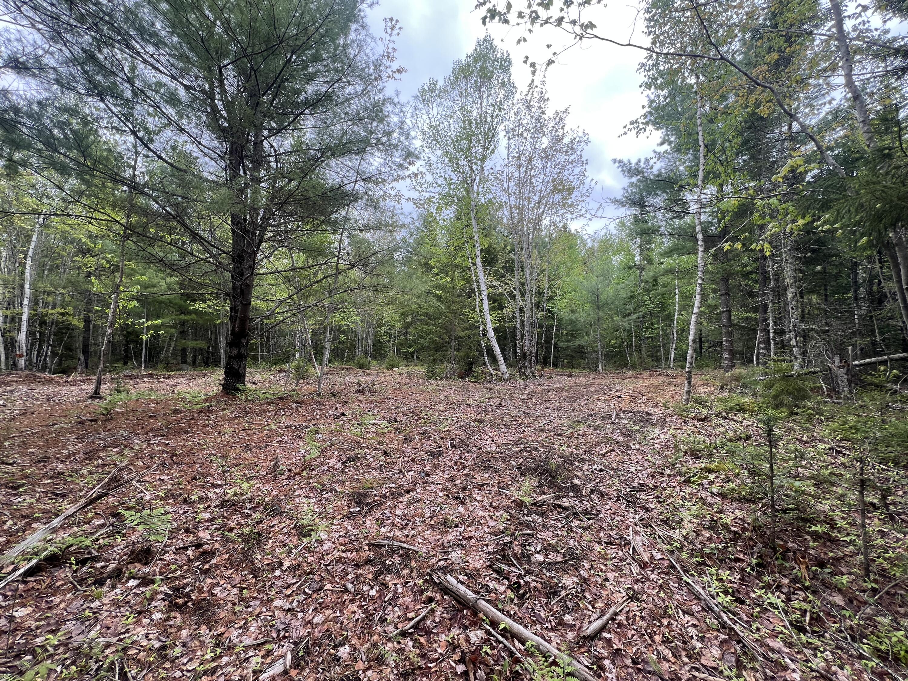 4 Taylor Woods Road Waltham ME 04605