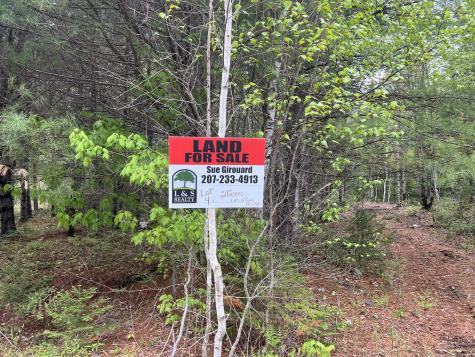 4 Taylor Woods Road Waltham ME 04605