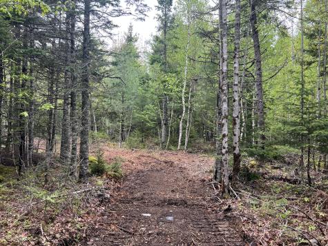 4 Taylor Woods Road Waltham ME 04605