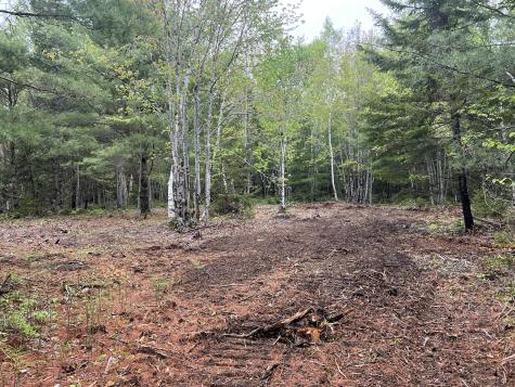 4 Taylor Woods Road Waltham ME 04605