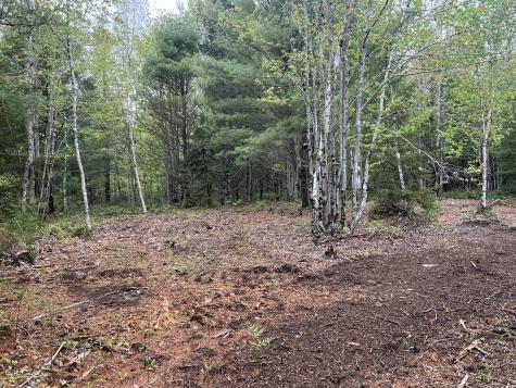 4 Taylor Woods Road Waltham ME 04605