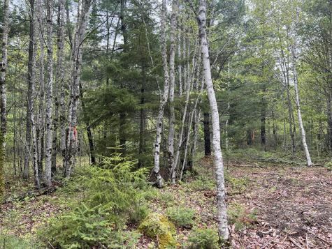 4 Taylor Woods Road Waltham ME 04605