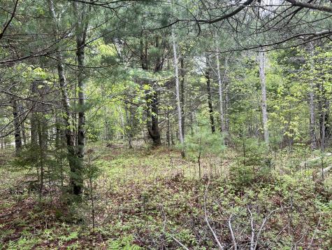 4 Taylor Woods Road Waltham ME 04605