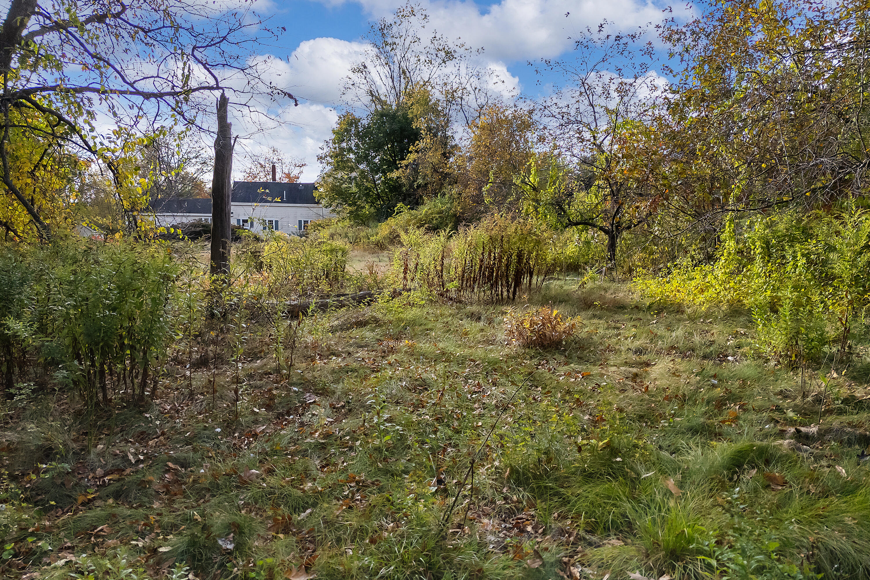 4 Homestead Drive Brunswick ME 04011