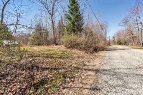 Map 5 Lot 3 Canadian Geese Drive Newport ME 04953
