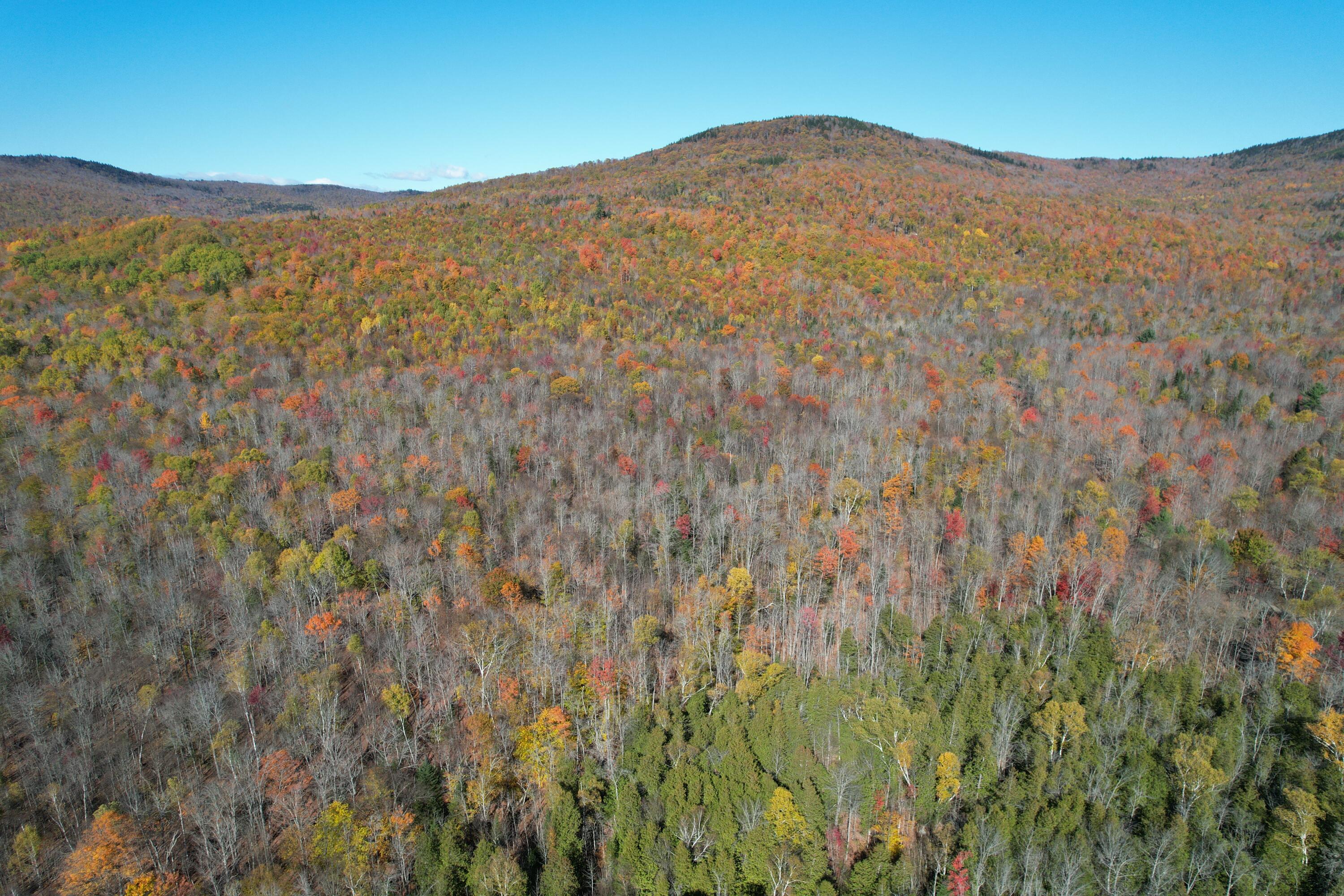 Lot 4a Center Hill Road Weld ME 04285