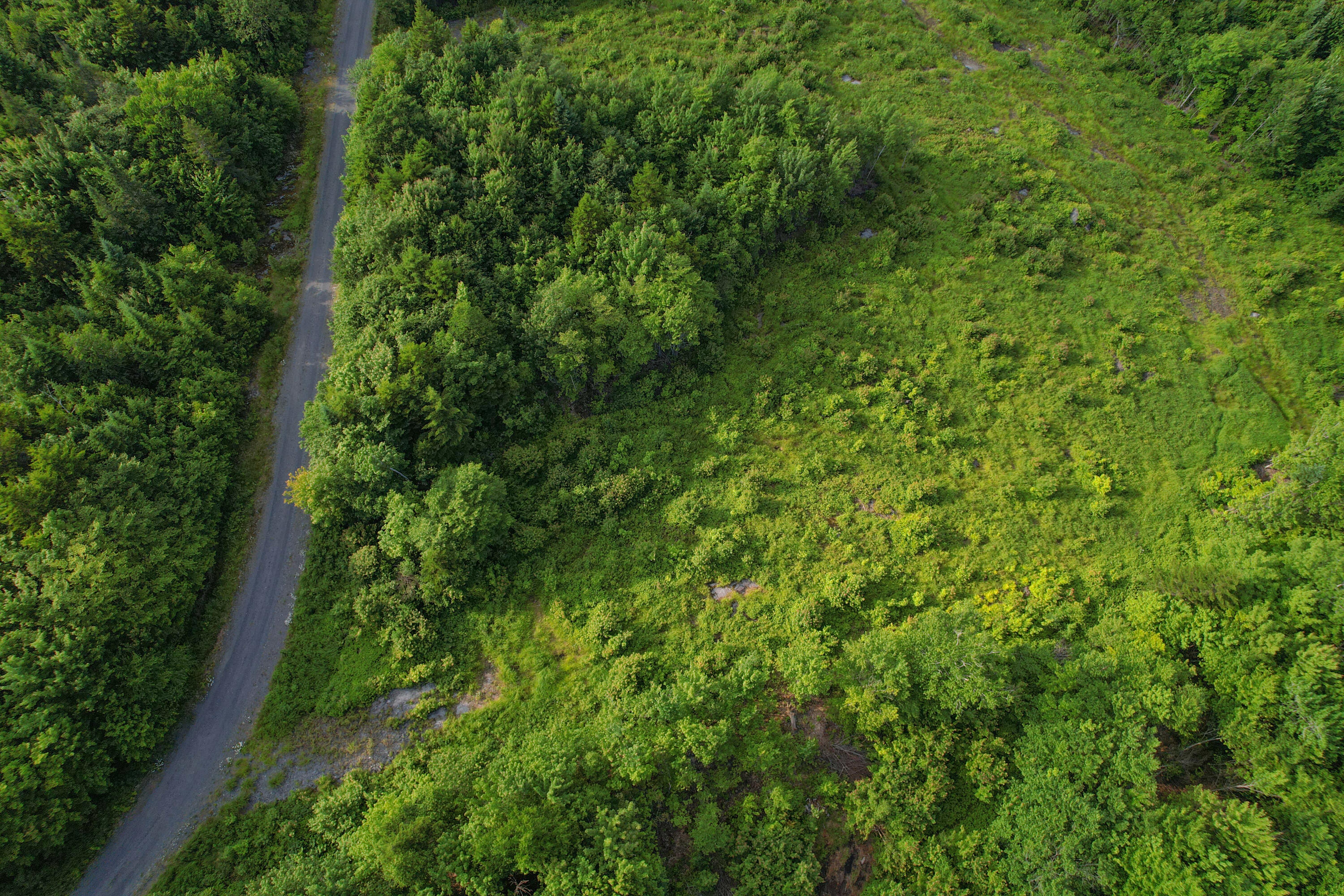 Lot 1 East Ridge Drive Greenville ME 04441