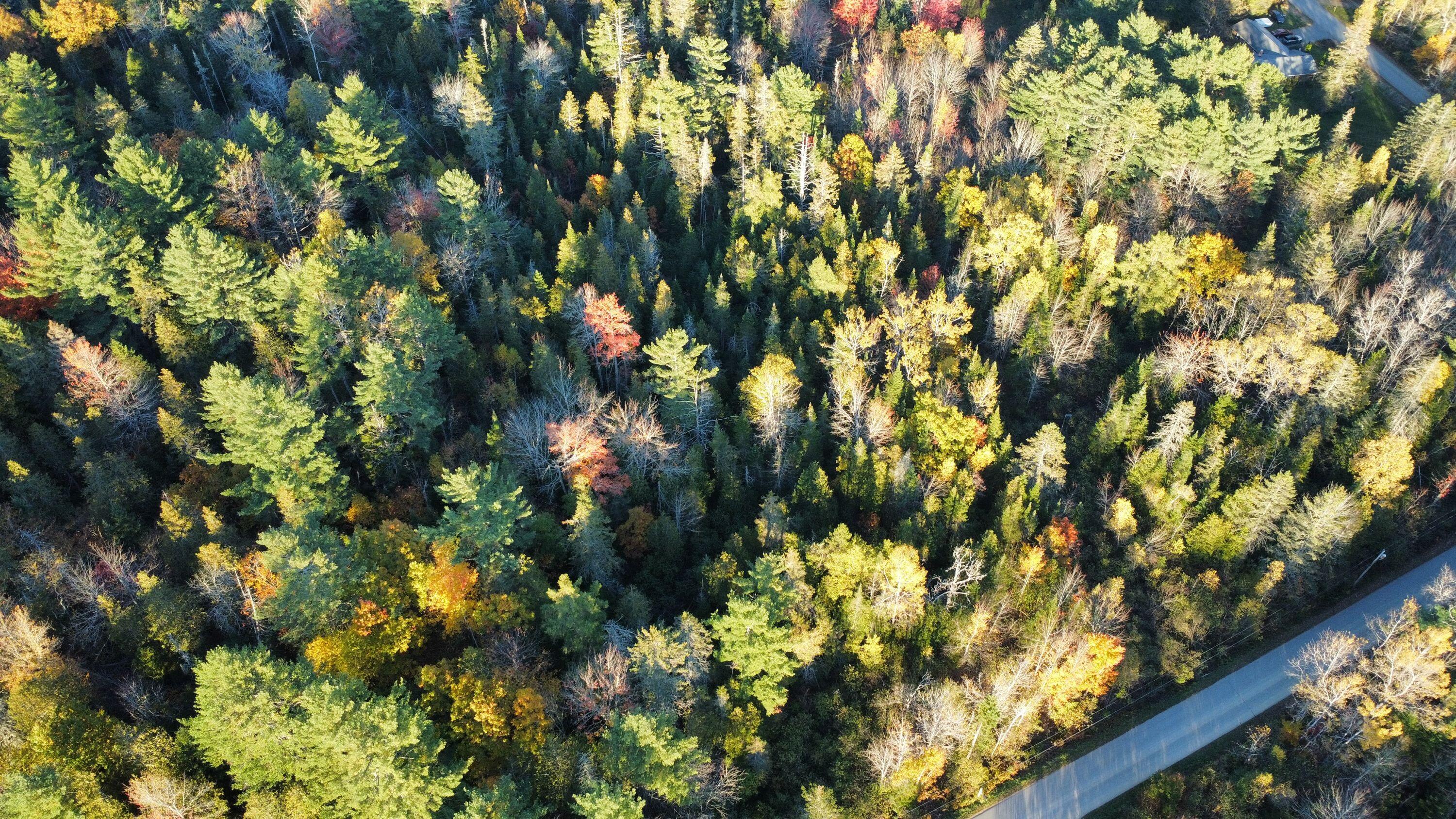 35 Hackett Road Winterport ME 04496