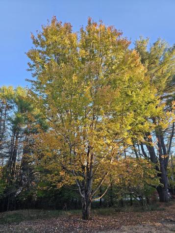 35 Hackett Road Winterport ME 04496