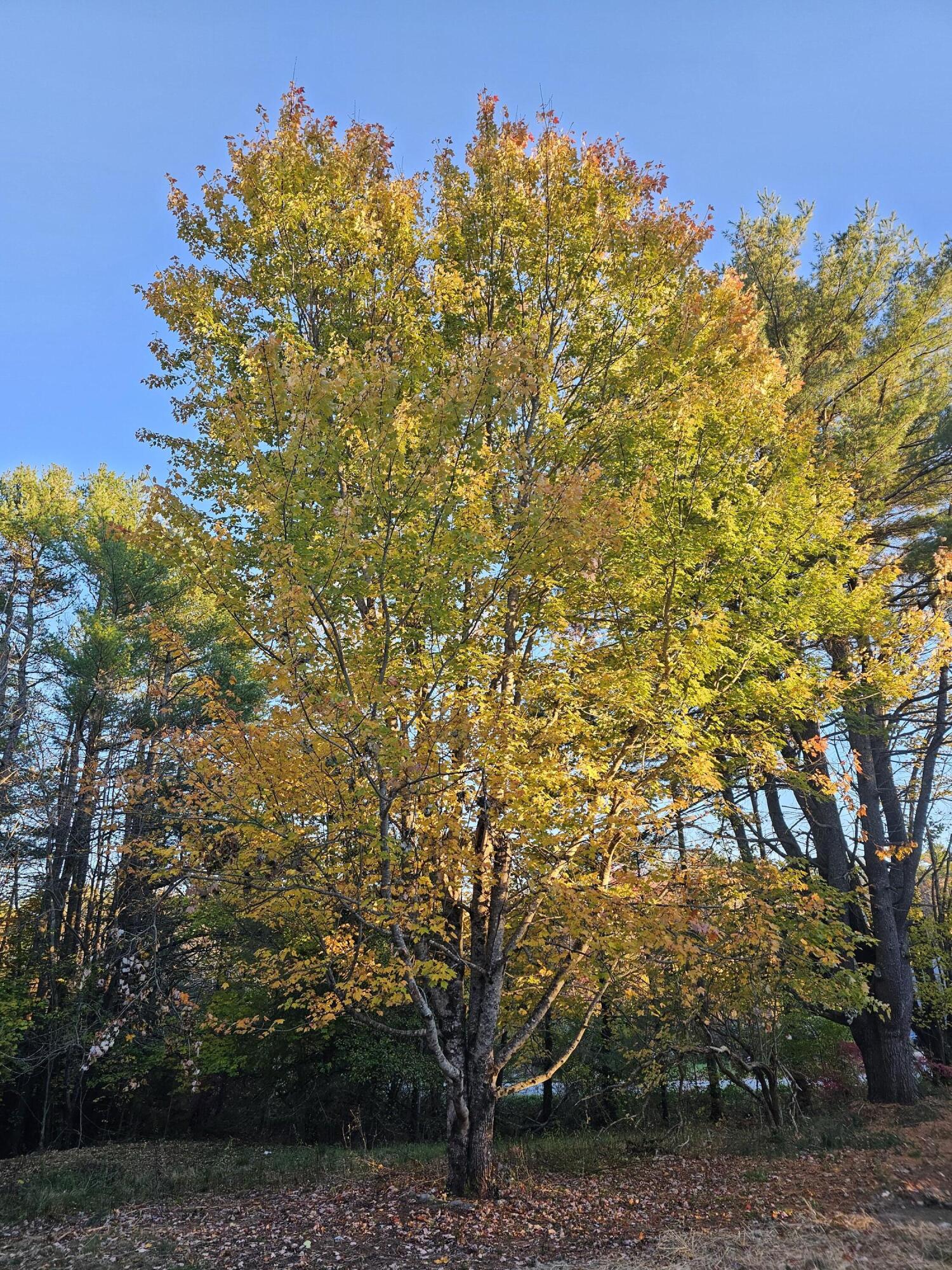 35 Hackett Road Winterport ME 04496