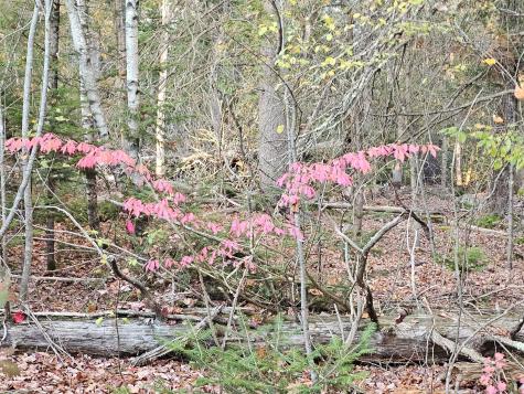 35 Hackett Road Winterport ME 04496