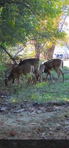 35 Hackett Road Winterport ME 04496