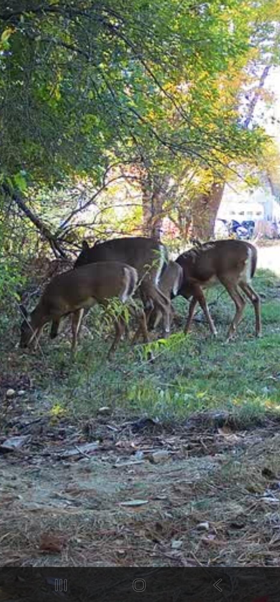 35 Hackett Road Winterport ME 04496