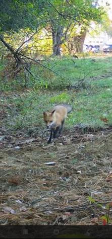 35 Hackett Road Winterport ME 04496