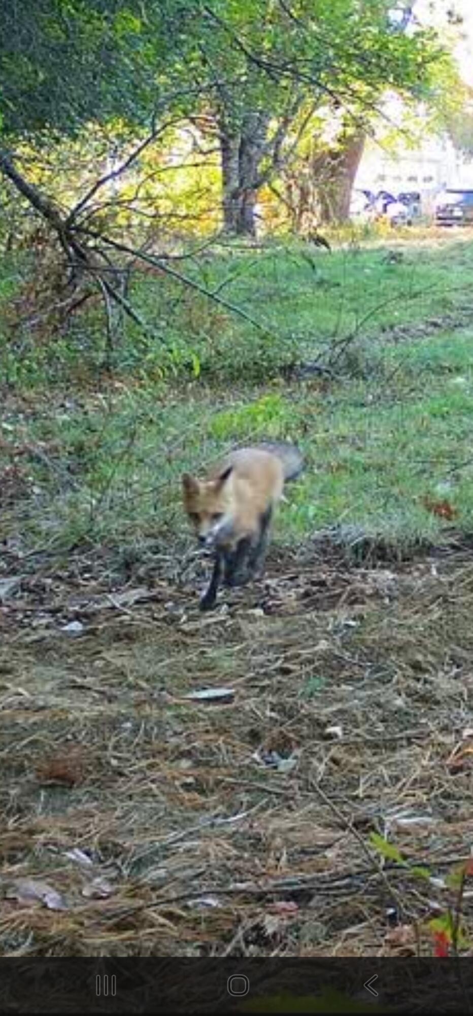 35 Hackett Road Winterport ME 04496