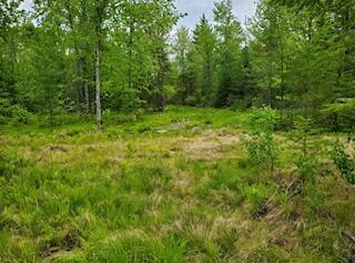 3A Winter Hill Lane Monson ME 04464