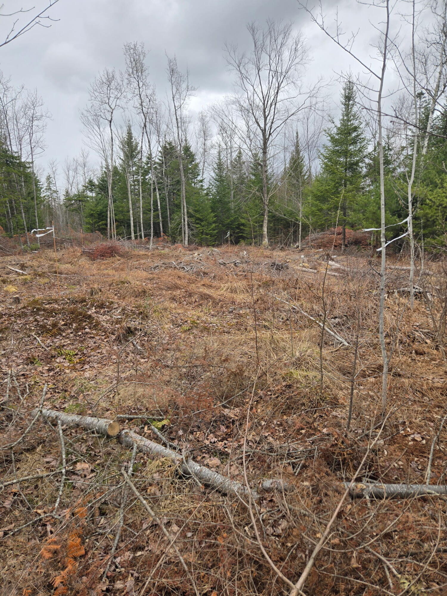 3A Winter Hill Lane Monson ME 04464