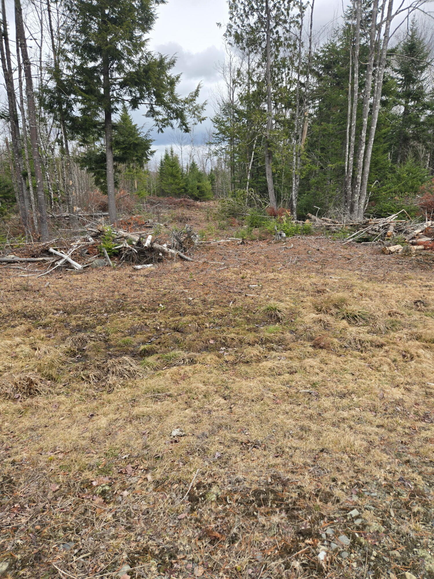 3A Winter Hill Lane Monson ME 04464