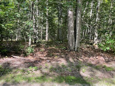 173 Island Way Carmel ME 04419