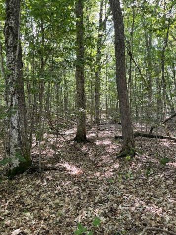 173 Island Way Carmel ME 04419