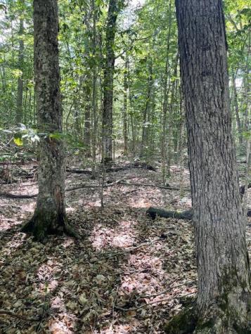 173 Island Way Carmel ME 04419