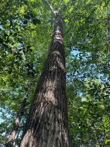 173 Island Way Carmel ME 04419