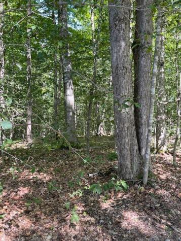 173 Island Way Carmel ME 04419