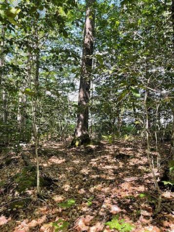 173 Island Way Carmel ME 04419