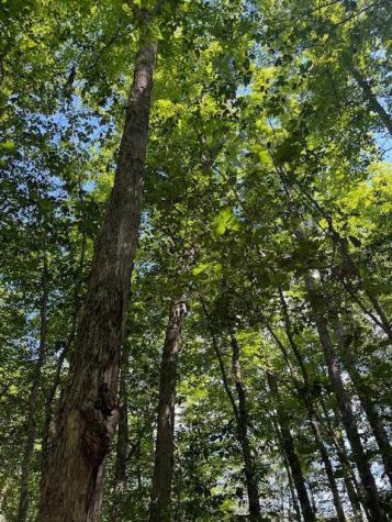 173 Island Way Carmel ME 04419