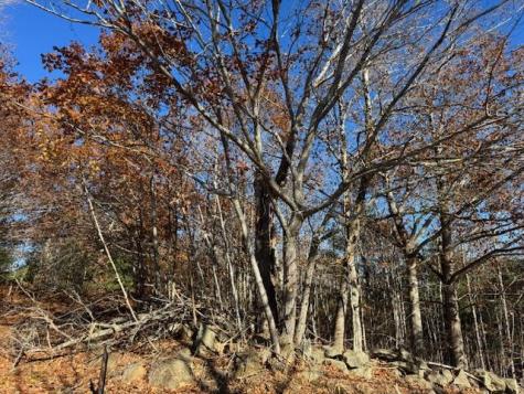 R12L50-1 Tolman Road Warren ME 04864