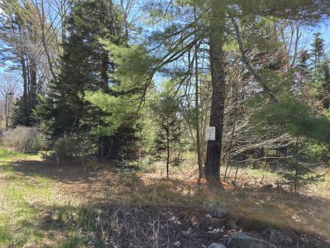 Lot #1 Turkey Cove Road Saint George ME 04860