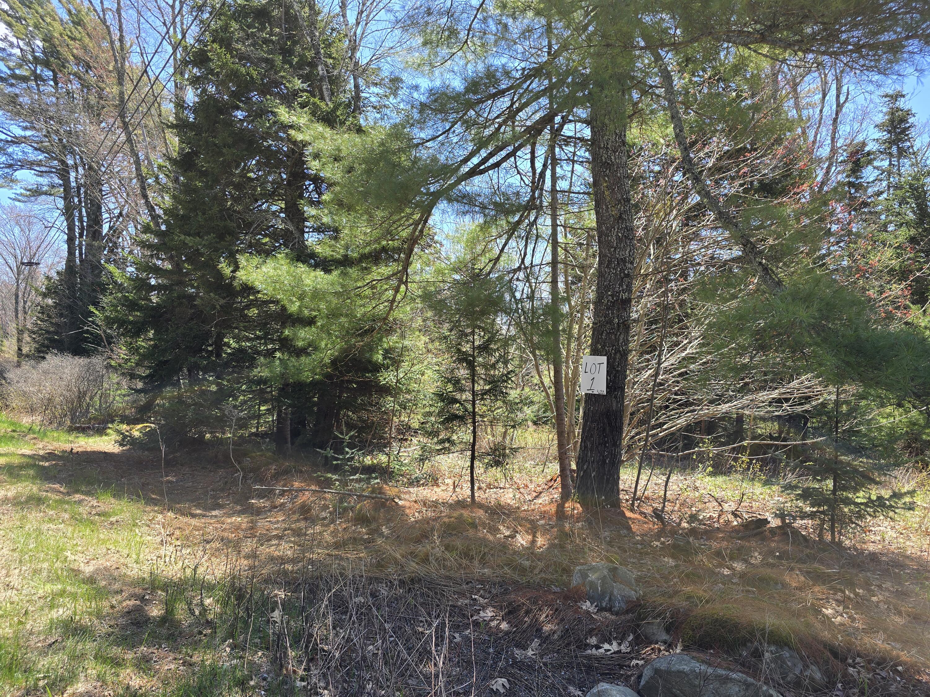Lot #1 Turkey Cove Road Saint George ME 04860
