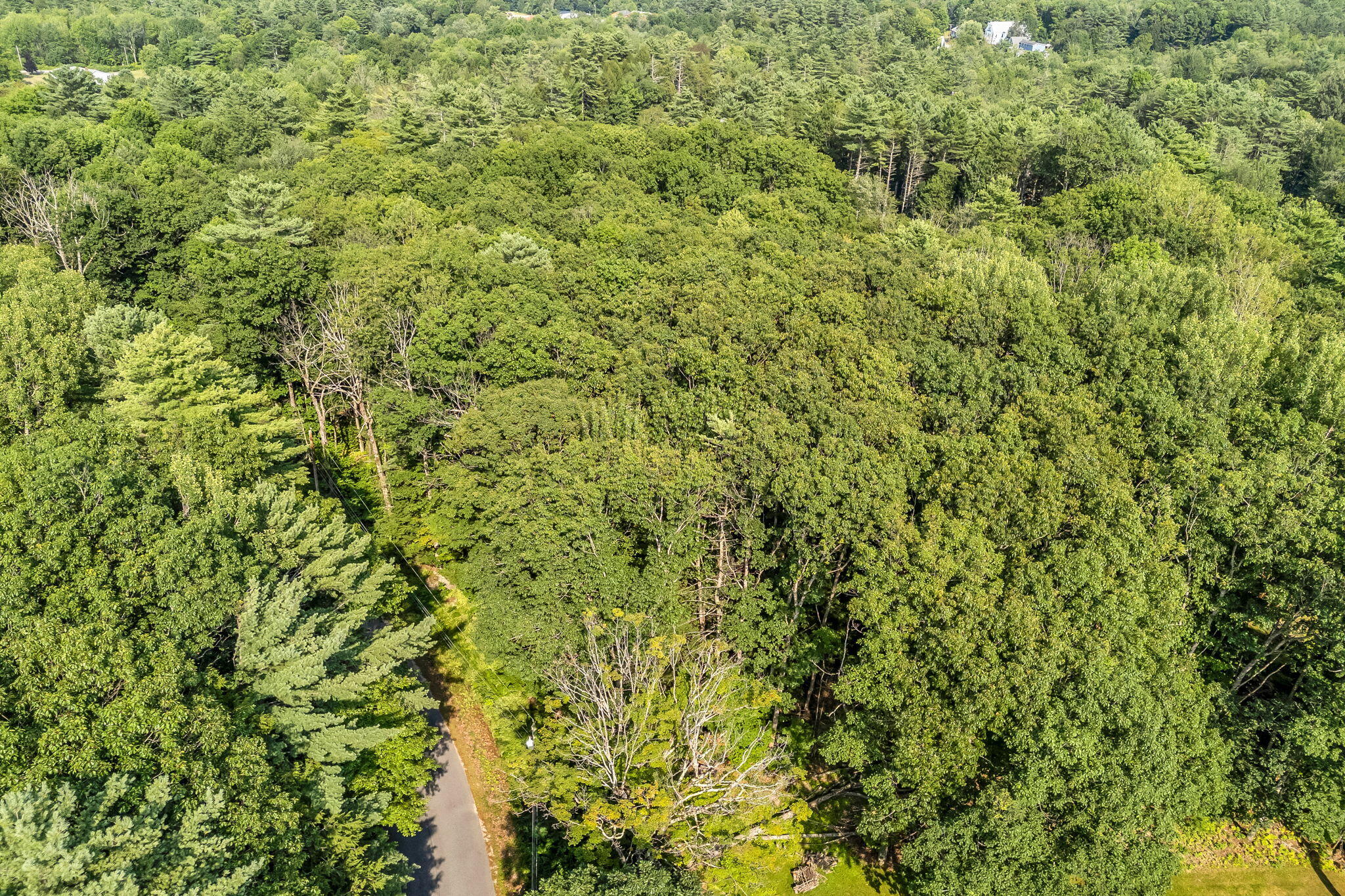 0 Sedgley Road Greene ME 04236