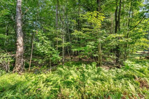 0 Sedgley Road Greene ME 04236