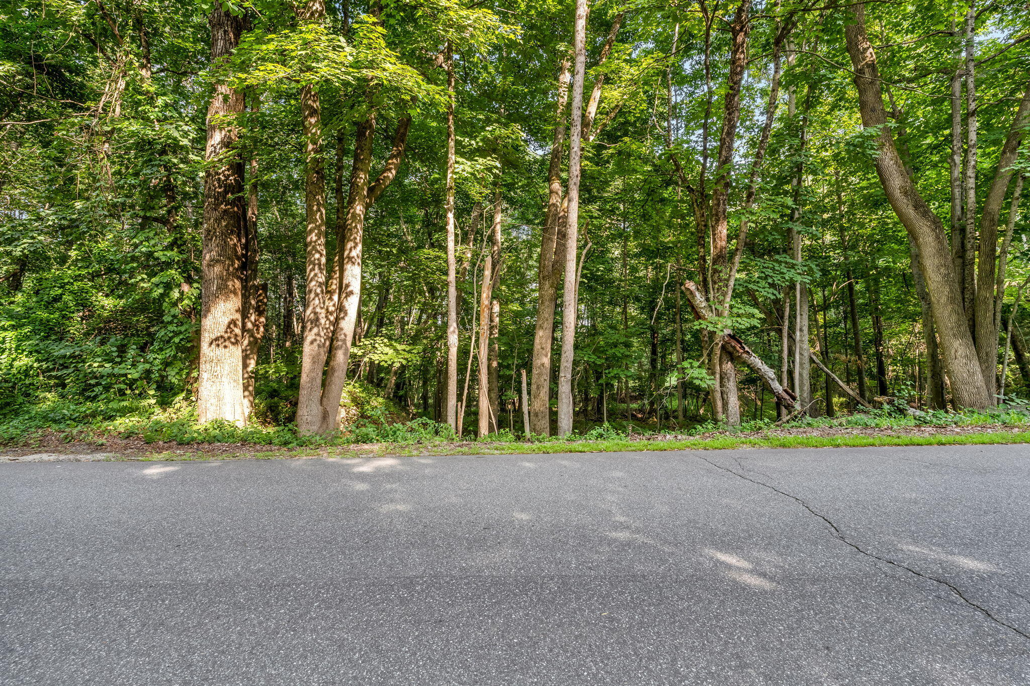 0 Sedgley Road Greene ME 04236