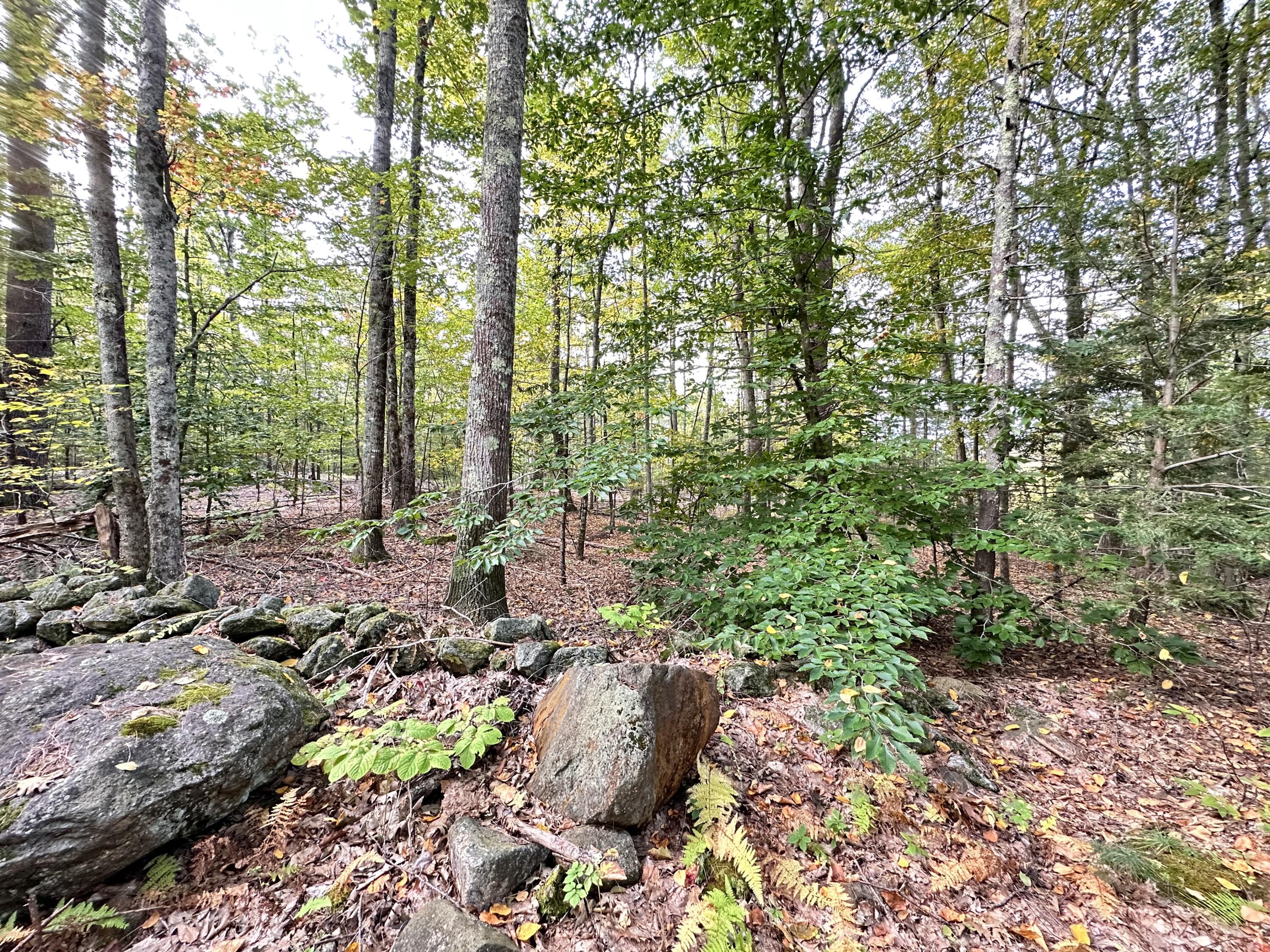 0 Orrill's Hill Road Lebanon ME 04027