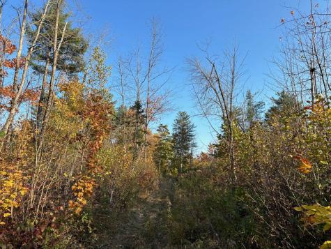 Mr5 L24 Sawyers Mills Road Starks ME 04911