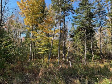 Mr5 L24 Sawyers Mills Road Starks ME 04911